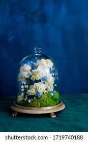 Fresh Flowers Under A Glass Bell Jar (cloche)