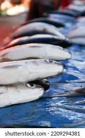 Fresh Food Raw Fish In Super Market