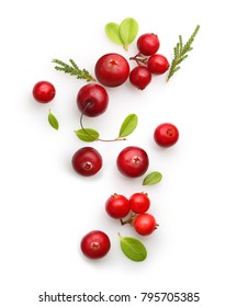 Fresh forest berry cranberry isolated on white background. - Shutterstock ID 795705385