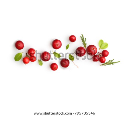 Fresh forest berry cranberry isolated on white background.
