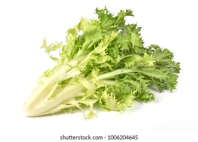 Curly Endive Hd Stock Images Shutterstock