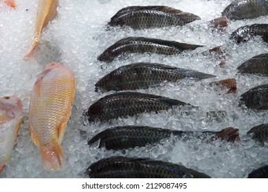 Fresh Frozen Fish In The Super Market Selling A Variety Of Fresh Food.