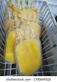 Fresh Frozen Plasma For Stock