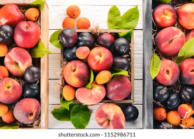 Peaches Plums Apricots Hd Stock Images Shutterstock