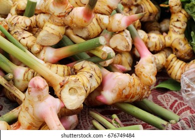 Fresh Galangal 