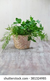 Fresh Garden Dill And Parsley In A Pot