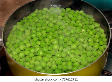 Fresh garden peas cooking in hot water ready for meal.