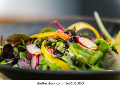 Fresh Garden Salad. Fresh Garden Salad On A Plate. Fresh And Healthy Vegetable Salad 