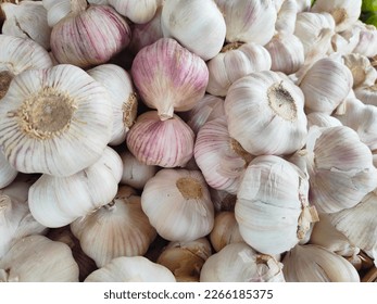 Fresh garlic Bulbs of garlic in a cotton bag scattered on a linen mat. Natural organic farm food - Shutterstock ID 2266185375