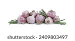 Fresh garlic bulbs and rosemary isolated on white