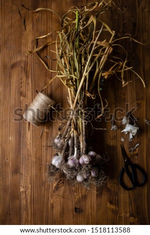 Similar – Image, Stock Photo Bunch of garlic with kitchenware on wooden background