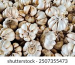 Fresh garlic pile texture. Pile of white garlic heads in traditional market