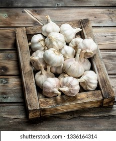 Fresh garlic in the tray. On wooden background