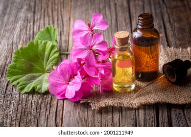 253 Rose geranium herbal oil Images, Stock Photos & Vectors | Shutterstock