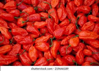 ghost pepper