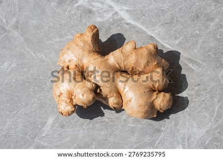 Fresh Ginger Root on Gray Surface Close-Up