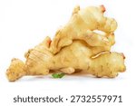 Fresh ginger root with red tips and small green leaves isolated on white background. Premium quality spice from Sichuan and Shandong regions for culinary and medicinal use.