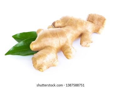 Fresh ginger root with sliced islolated on white background for herb and medical product concept