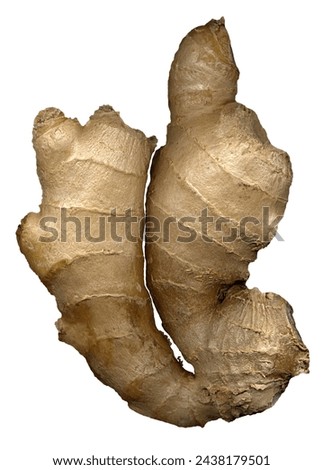 fresh ginger root very high details