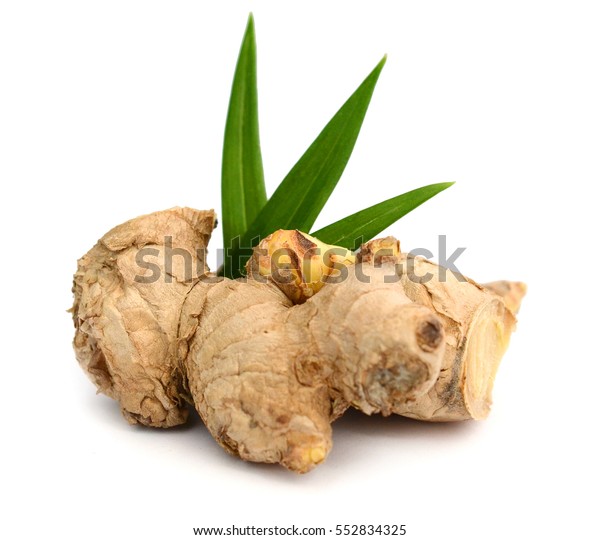 Fresh Ginger Roots Isolated On White Stock Photo (Edit Now) 552834325