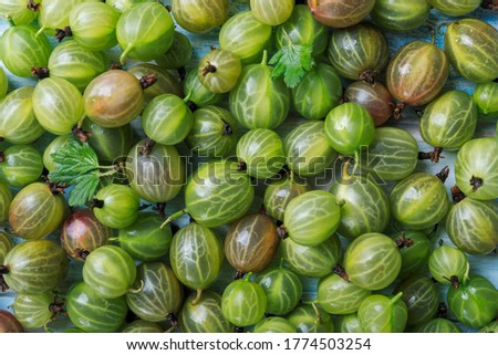 Similar – Image, Stock Photo Top view of organic gooseberries in a vintage bowl