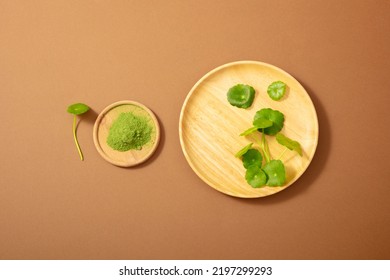 Fresh Gotu Kola And Gotu Kola (Centella Asiatica) Powder On Wooden Dish Used In Skincare, Beauty, And Health. Flatlay Image For Design. 