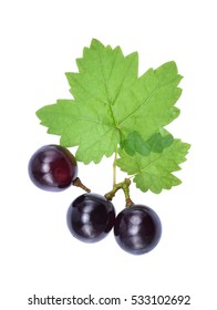 Fresh Grapes And Leaf With Drop Of Water Isolated On White Background, Top View.