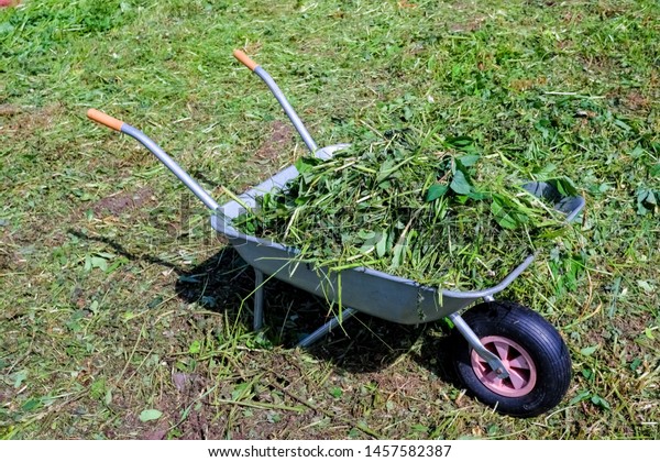 Fresh grass in a garden trolley. Cleaning of\
freshly mown grass in the garden.Hay mowing on a summer\
day.Landscaping Industry.iron cart, wheelbarrow filled with turf\
for manual moving with\
weeds