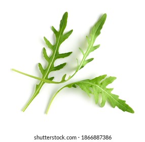 fresh green arugula leaves isolated on white background, top view