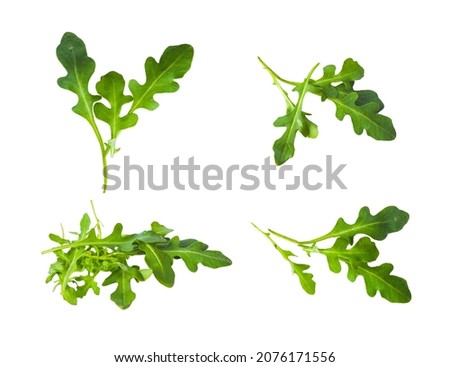 Fresh green atugula (rukkola) leaves iisolated [[stock_photo]] © 