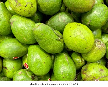 Fresh green avocado on a stack of fruit shelves in a supermarket or local groceries