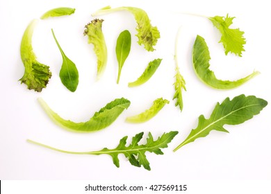 Frische grüne Babyblätter aus Endivie, Rakete und Salat einzeln auf weißem Hintergrund