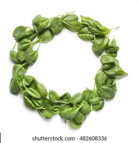 Fresh Green Baby Spinach Bundle Isolated On White Top View. Vegetable Round Circle Frame. Copy Space. Studio Shot