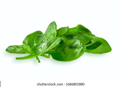 Fresh Green Baby Spinach Leaves Isolated On White