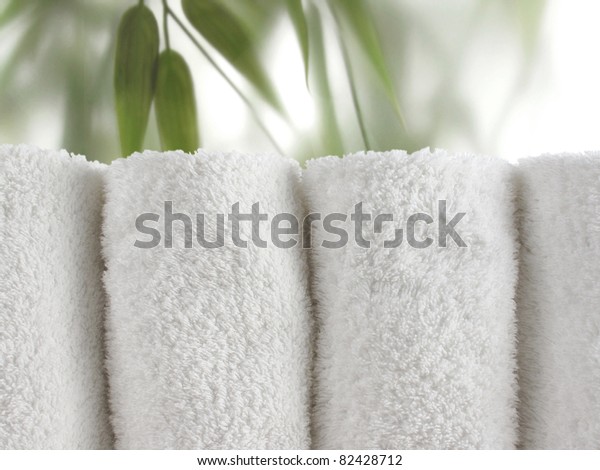 Fresh Green Bamboo Leaves Behind Frosted Stock Photo Edit Now