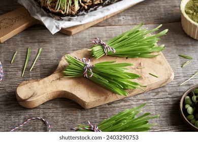Fresh green barley grass blades with dry powder and tablets - Powered by Shutterstock