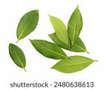 Fresh green bay leaves isolated on white, top view	