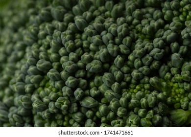 Fresh Green Broccoli Texture Macro Close Up - Detail Of Brocoli .veganism Concept