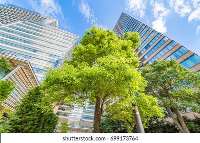 Fresh Green And Building