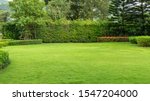 Fresh green burmuda grass smooth lawn as a carpet with curve form of bush, trees on the background, good maintenance landscapes in a garden under cloudy sky and morning sunlight