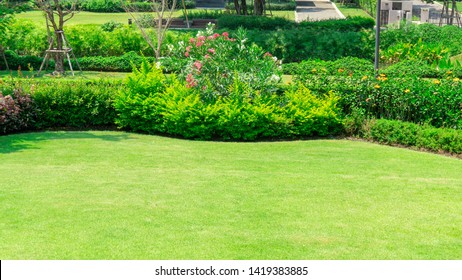 Fresh green burmuda grass smooth lawn as a carpet with curve form of bush, trees on the background, good maintenance lanscapes in a garden under morning sunlight - Shutterstock ID 1419383885