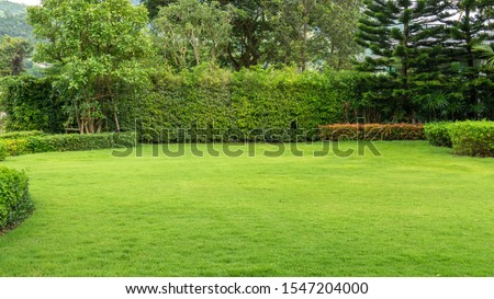 Fresh green burmuda grass smooth lawn as a carpet with curve form of bush, trees on the background, good maintenance landscapes in a garden under cloudy sky and morning sunlight