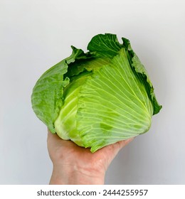 Fresh green cabbage, water droplets - Powered by Shutterstock