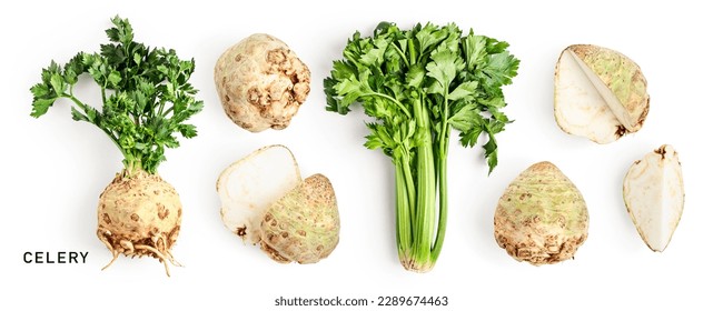 Fresh green celery and celery root with leaves set isolated on white background. Healthy eating and dieting food concept. Design element. Top view, flat lay
