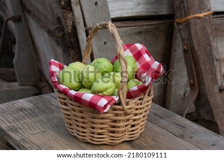 Similar – Image, Stock Photo orchard meadow, apple harvest