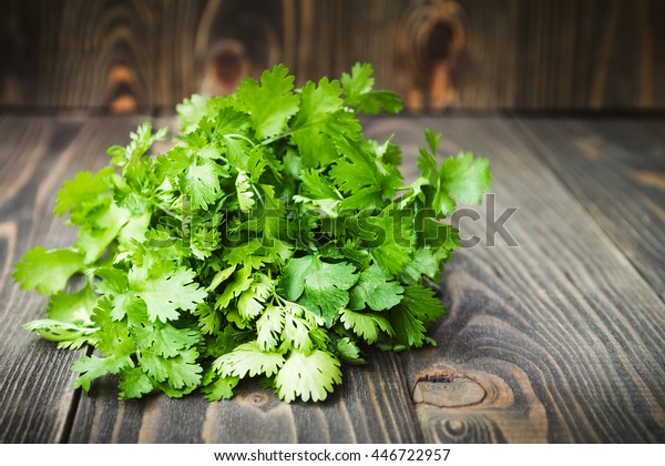 Fresh\
green cilantro, coriander leaves on wooden\
surface