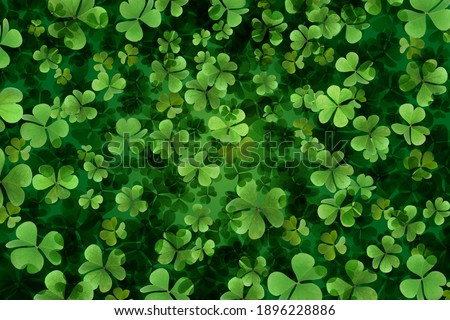 Fresh green clover leaves as background. St. Patrick's Day 