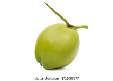 596,290 Green coconut image Images, Stock Photos & Vectors | Shutterstock