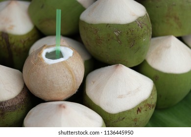 Fresh Green Coconut Water For Drink.