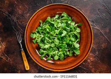 Fresh Green Corn Salad Leaves On A Rustic Plate. Dark Background. Top View